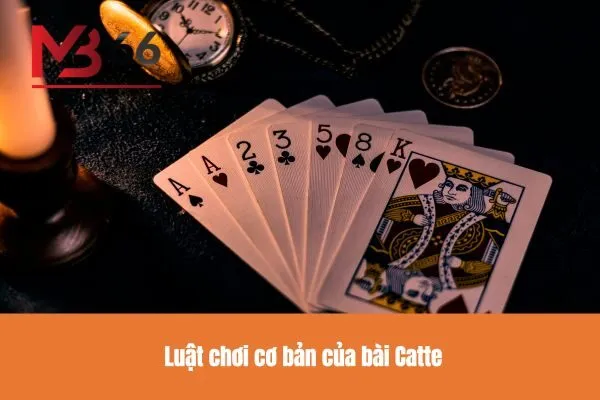 Luật chơi cơ bản của bài Catte