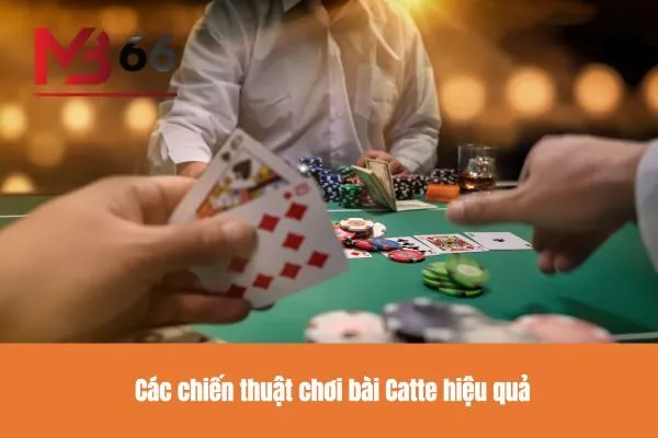 Các chiến thuật chơi bài Catte hiệu quả