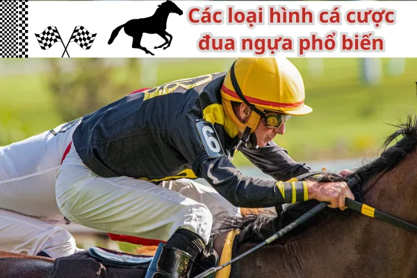 Bí quyết cá cược đua ngựa cho người mới bắt đầu tại mb66