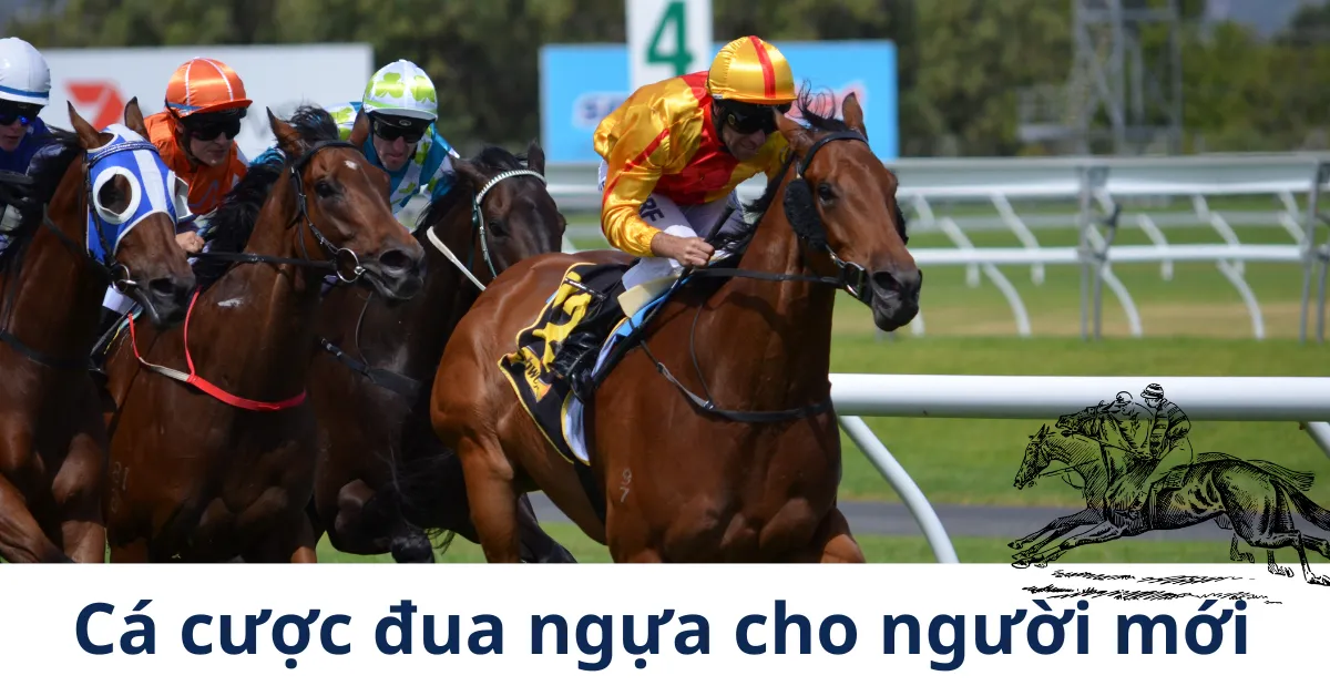 Bí quyết cá cược đua ngựa cho người mới bắt đầu tại mb66