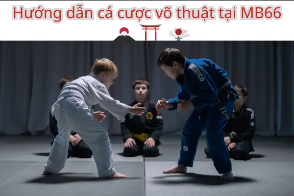 Cách đọc thông số võ sĩ khi cá cược võ thuật tại nhà cái Mb66