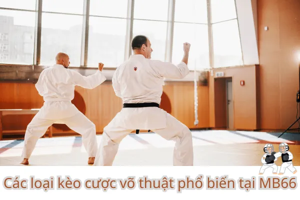 Cách đọc thông số võ sĩ khi cá cược võ thuật tại nhà cái Mb66
