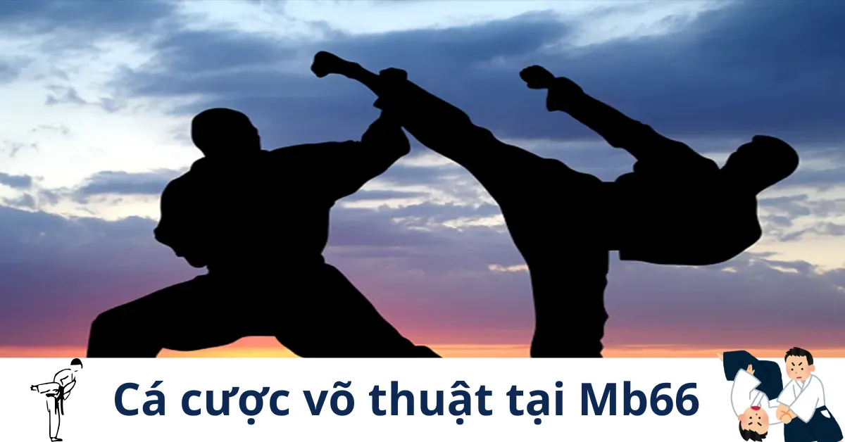 Cách đọc thông số võ sĩ khi cá cược võ thuật tại nhà cái Mb66