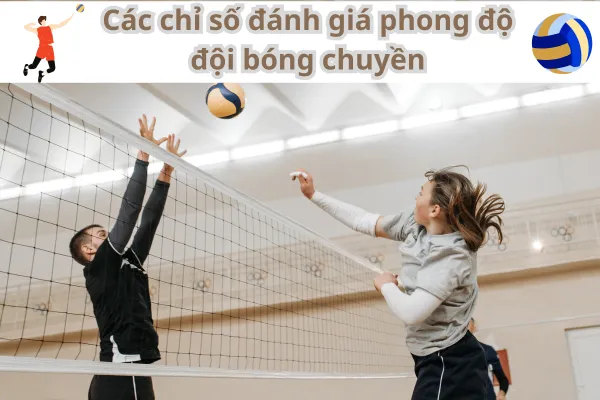 Cách phân tích phong độ đội bóng chuyền khi cá cược tại mb66