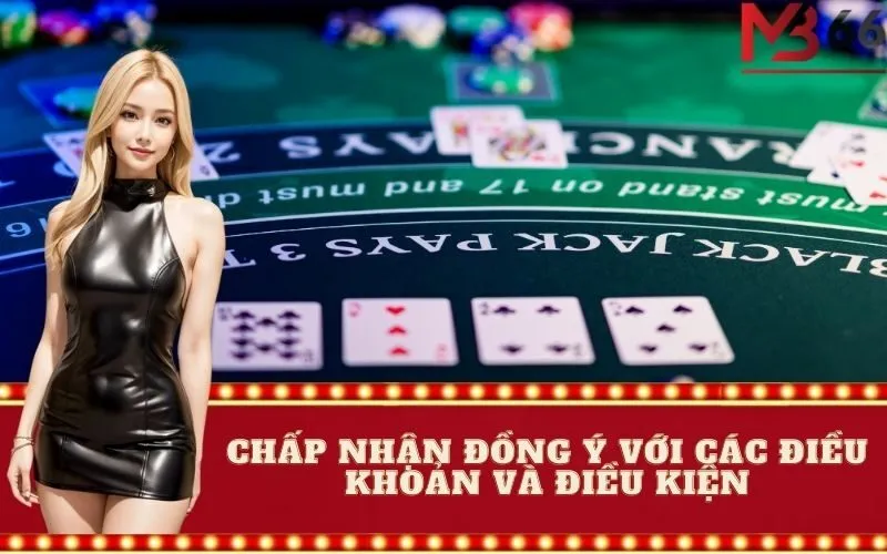 Chấp nhận đồng ý với các điều khoản và điều kiện