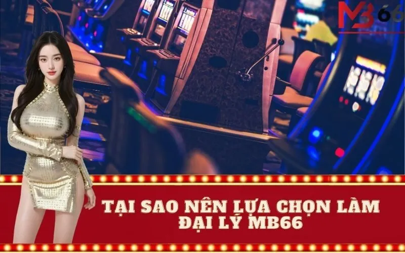 Tại sao nên lựa chọn làm đại lý MB66