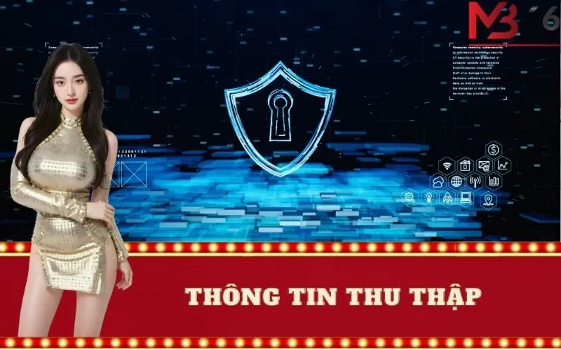 Thông Tin Thu Thập